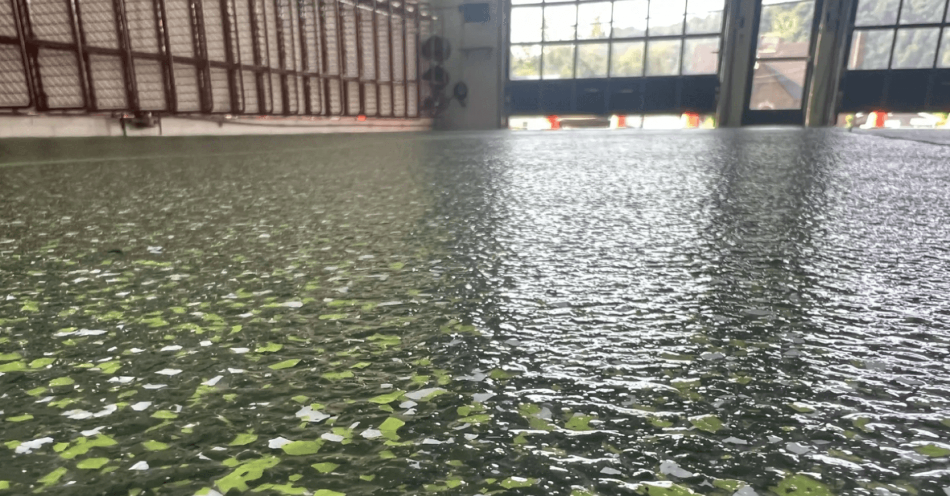 Wide green resin floor — commercial facility